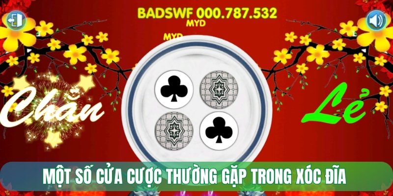 Một số cửa cược thường gặp trong xóc đĩa 